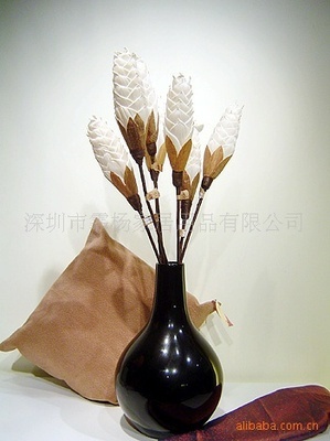 家居美学新蓝海 高端植物干花与仿真花区域代理招募计划