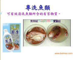 厦门台湾洗涤用品洁康 优质家居清洁选择与市场机遇